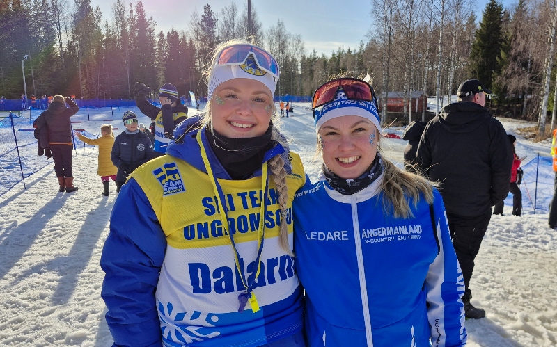 En bild